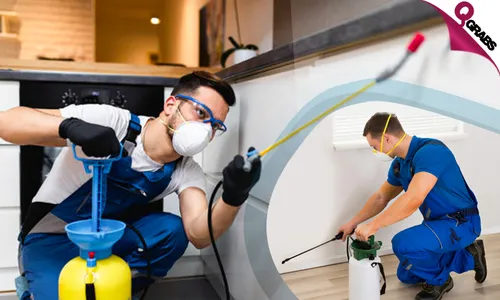 Pest Control Services!